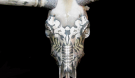 LONGHORN / ORGANIC DESIGN / METALLIC 